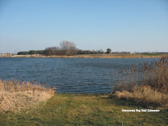 A&nbsp;może dziś na&nbsp;windsurfing?