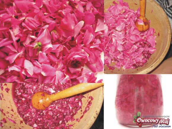 Sezon na&nbsp;dżemy-otwarty!