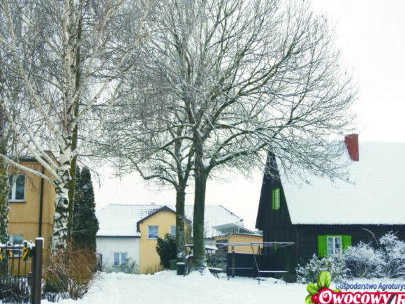 Biało, bieluśko, bieluteńko